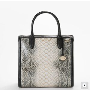 Brahmin Caroline Purse